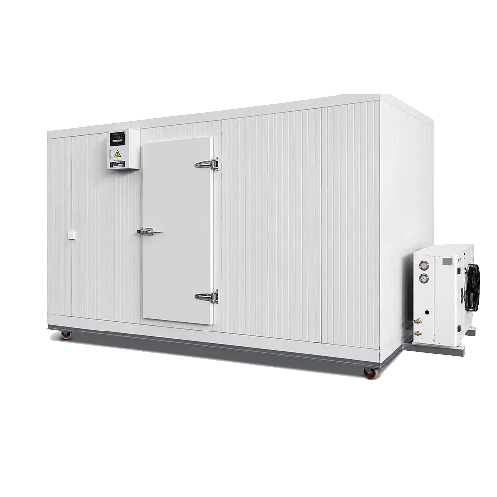 Modular Cold Room