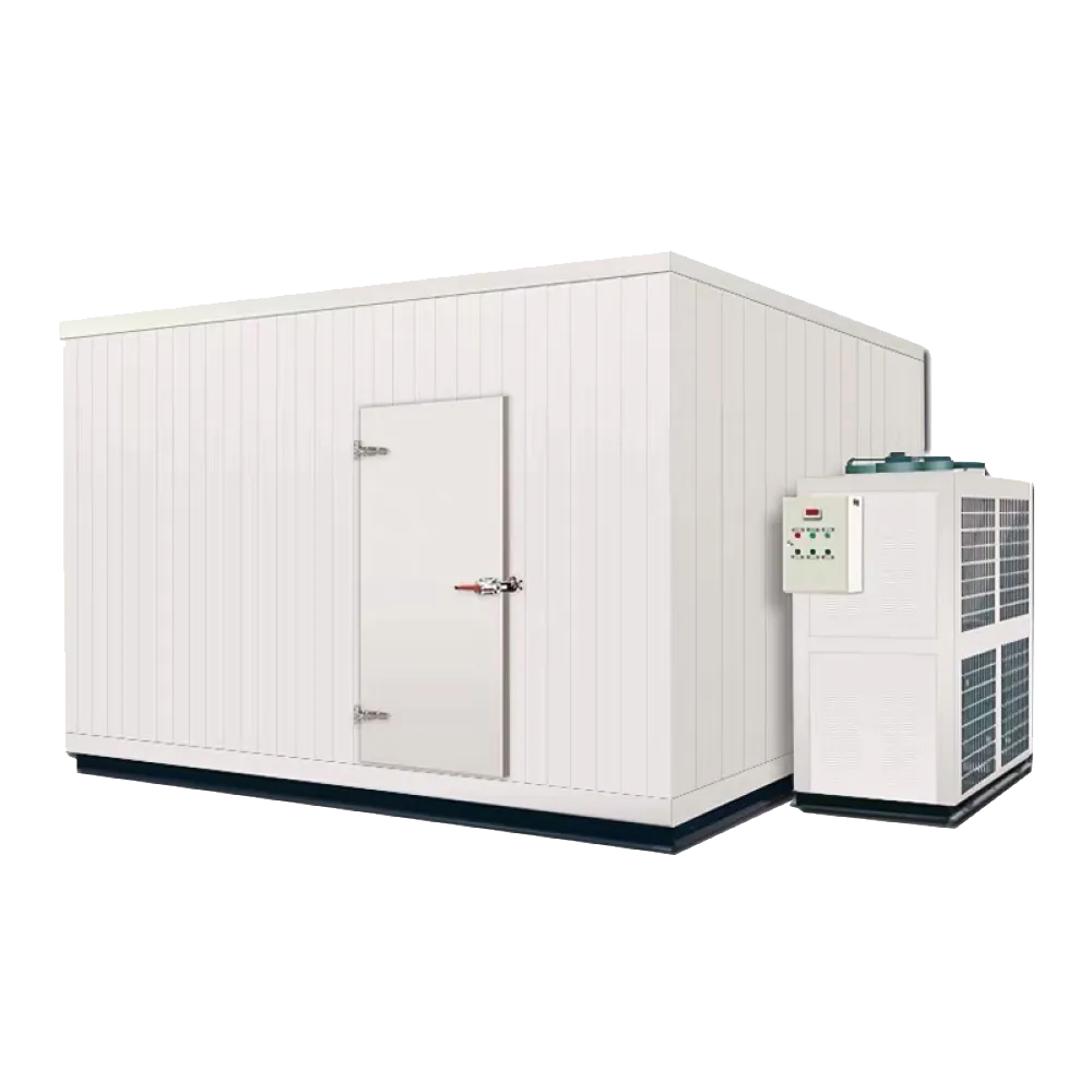 Walk-In Freezer Room